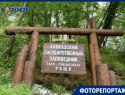 Почему Тисо-самшитовая роща входит в топ-10 мест для посещения Сочи