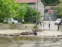 Река в Сочи вышла из берегов и отрезала от мира жителей СНТ