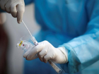 В Сочи за сутки выявили 43 новых заболевания коронавирусом