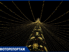 «Новый год стучится в двери»: на площади Флага в Сочи  главный символ праздника зажегся разноцветными огнями