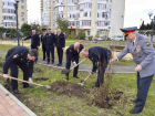 Сочинские полицейские высадили магнолии и молодые пальмы  