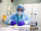 Более 50 жителей Сочи заболели коронавирусом за сутки