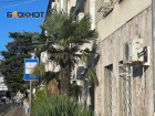 Полиция Сочи ищет троицу, избившую на улице мужчину до бессознательного состояния