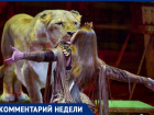 Дрессировщица хищников отреагировала на «зверские вопли льва» из сочинского цирка
