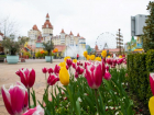 Вход 500 рублей: Сочи Парк анонсировал праздничные скидки в марте
