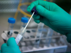 В Сочи за сутки выявили 28 новых заболевания коронавирусом