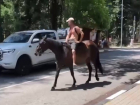 На просторах известного курорта Сочи замечен мужчина верхом на коне в компании жеребёнка