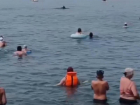 В Сочи дельфины вновь навестили туристов у берегов Чёрного моря