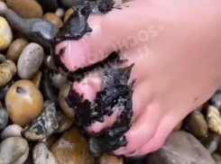 Следы мазута снова обнаружили на пляже в Сочи