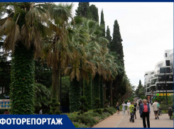 В День туризма «Блокнот» составил топ-3 сочинских мест для отдыха