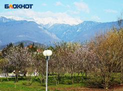 Мощные взрывы и сирена: более 12 часов украинские БПЛА пытались атаковать Сочи