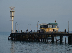 В Абхазии спасли беременную собаку, упавшую в Черное море