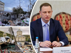 Бывший директор мусороперерабатывающего комплекса, а ныне мэр Сочи, не может решить проблему с мусором на курорте