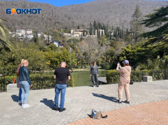 116 тысяч рублей составил средний чек тура в Абхазию в июне