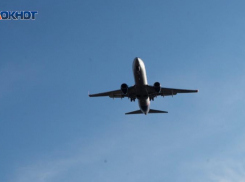 Пассажирский самолет экстренно приземлился в Сочи