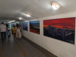 Фотовыставка «Четыре сезона красоты» открылась в Сочи