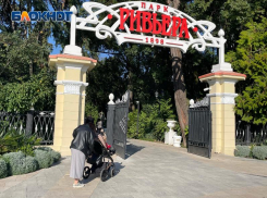 Администрация Сочи пытается признать незаконным договор с картодромом в  «Ривьере», спустя 22 года сотрудничества