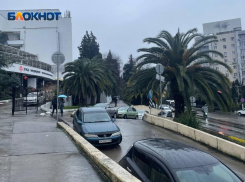 Дожди с грозами ожидаются в Сочи