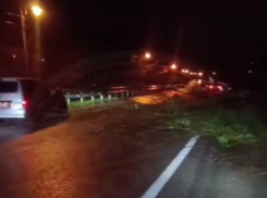 Сель повалил дерево на трассу Адлер — Красная Поляна