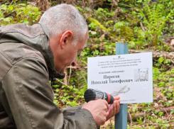 В нацпарке Сочи, на месте крушения самолета ВОВ, установили памятный знак