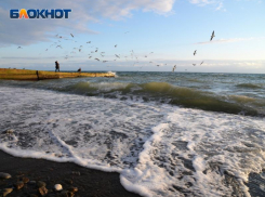 Теплое начало ноября ожидается в Сочи