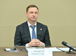  Мэр Сочи обвинил в снижении бронирования «низкую потребительскую способность» туристов