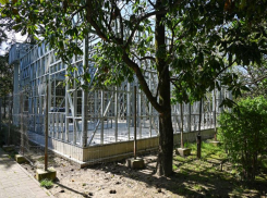 Центр фонда «Защитники Отечества», который помогает участникам СВО, появится в Сочи