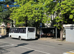 Более полумиллиона рублей принесли «зайцы» в бюджет Сочи