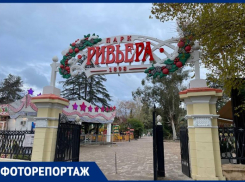 В парке Сочи чувствуется осеннее дыхание и новогоднее настроение