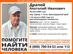 Пенсионер со скандинавскими палками бесследно пропал в Сочи