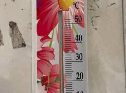 Пассажиры поезда, следовавшего из Астрахани в Сочи, пожаловались на неработающие кондиционеры в +37 