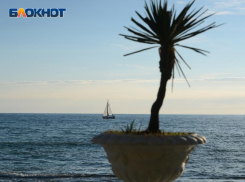 Российские туристы все чаще отказываются от отдыха в Сочи