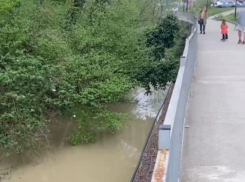 В Сочи цементовозы продолжают смывать бетон прямо в реку 