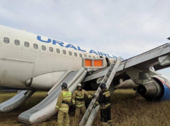 Пилотам, посадившим в поле самолёт Сочи-Омск, предложили уволиться