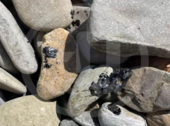 Туристы вновь обнаружили мазут на пляже в Сочи