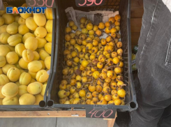 В овощных магазинах Сочи мушмулу продают за 400 рублей, а для местных это «корм для скотины»