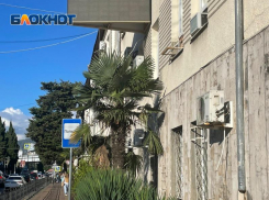 В Сочи задержали грабителя-неудачника, потерявшего паспорт