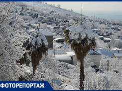 «Зима пришла»: фотографии Сочи под снежной шапкой в репортаже «Блокнота»