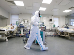 В Сочи за сутки выявили 43 новых случаев заболеваний коронавирусом