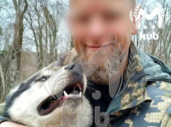 10 дней житель Сочи не кормил собак, покалечивших 9-летнего мальчика