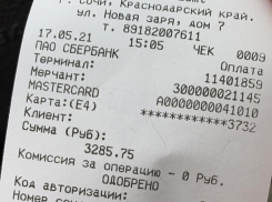 У россиянки в Сочи из-под знака «парковка» увезли автомобиль и заставили платить