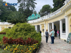 Дендрарий стал лидером лета среди объектов национального парка Сочи