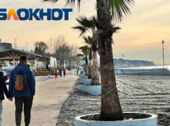 Жить или не жить: минусы и плюсы главного курорта страны - Сочи 