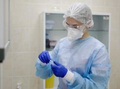 50 человек заразились коронавирусом за прошедшие сутки в Сочи