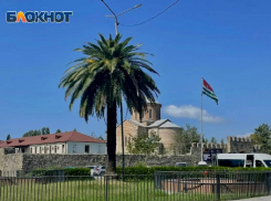 35 тысяч потратила пара из Саратова за однодневный отдых в Абхазии