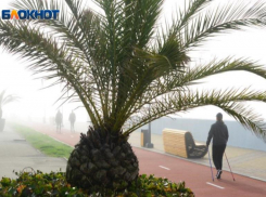 Туман надвигается на Сочи