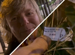 Рыжего уроженца Сочи из «Иванушек» шокировали кусты за миллион