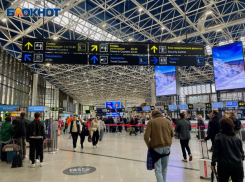 Вылет 30 самолетов задерживается из аэропорта Сочи