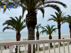 Названа стоимость летнего отдыха «все включено» в Абхазии