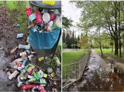 Горожанка обратила внимание мэра Сочи на запущенное состояние Курортного городка